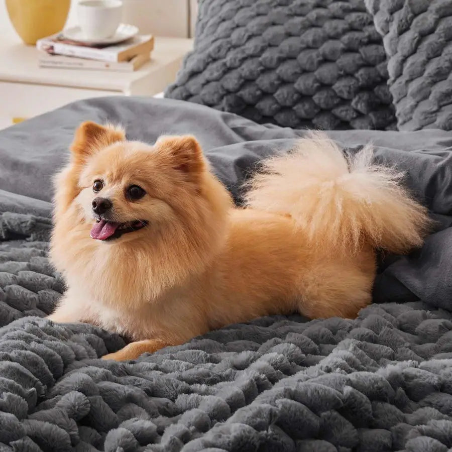 Fluffy Queen Comforter Set Soft Luxury Bedding