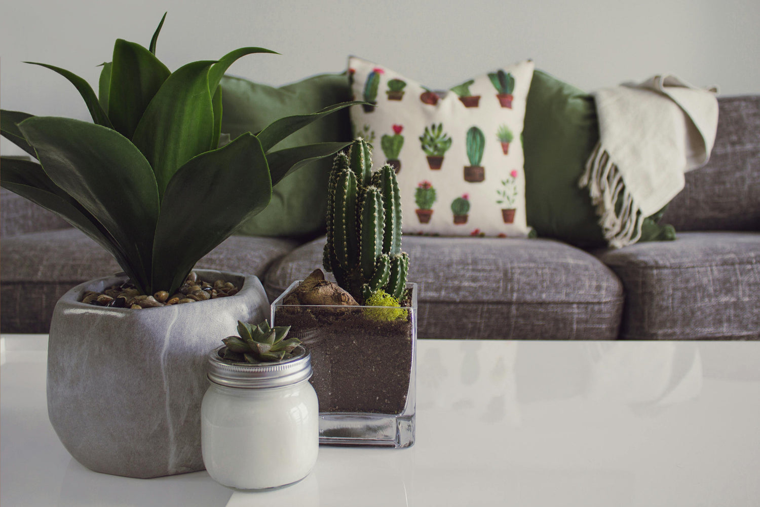 Home Decor & Accessories