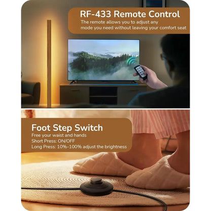 Modern Floor Lamp