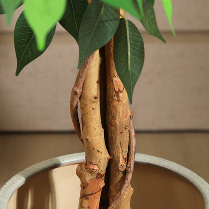 Artificial Ficus Floor Tree